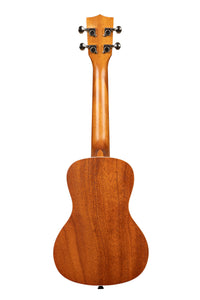 Mandy Harvey Concert Ukulele